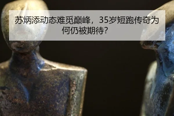 su-bing-tian-dong-tai-nan-mi-dian-feng-sui-duan-pao-chuan-qi-wei-he-reng-bei-qi-dai-1-736.jpg